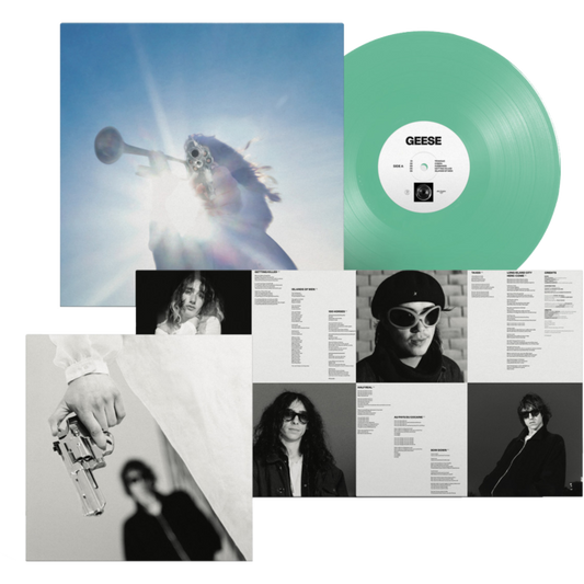 Collector's Guide: Tracking Down the Rare Vinyl Pressings of Geese's Getting Killed