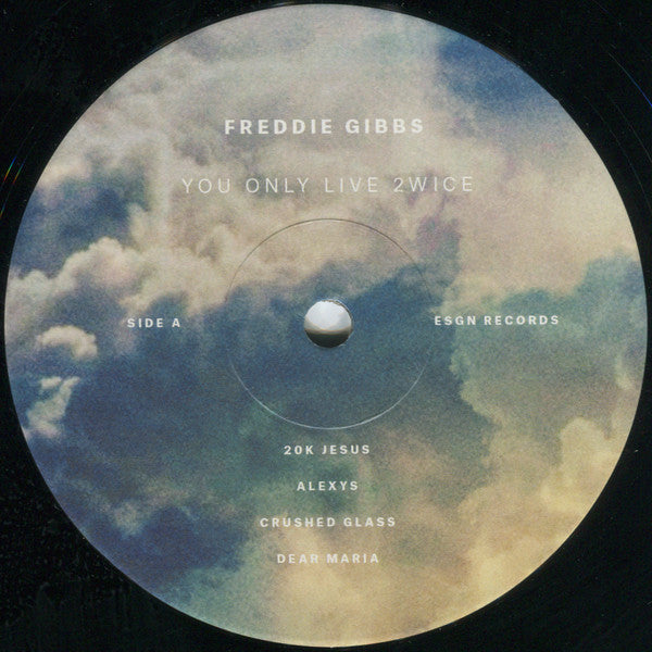 Freddie Gibbs : You Only Live 2wice (LP, Album)