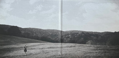 Lillie Mae* : Forever And Then Some (LP, Album, Ltd, Cle)