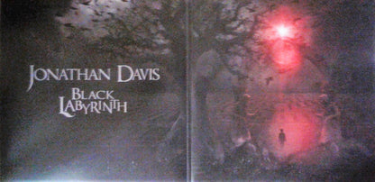 Jonathan Davis : Black Labyrinth (2xLP, Album, Mar)