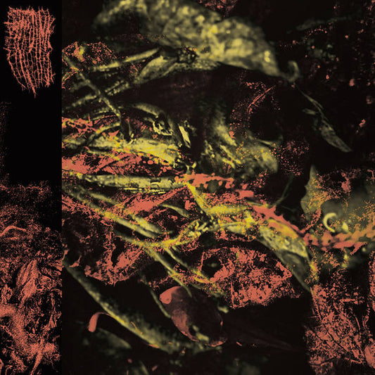 Hissing : Permanent Destitution (LP, Album, Yel)