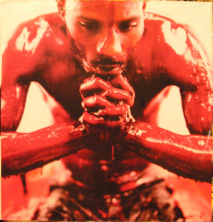 DMX : Flesh Of My Flesh Blood Of My Blood (2xLP, Album)