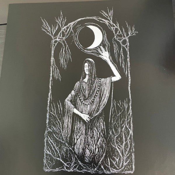 False (2) : Portent (LP, Album, Ltd, Aqu)