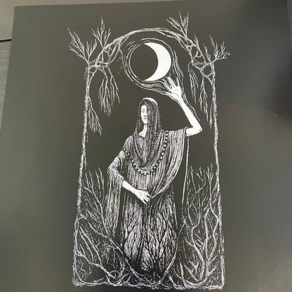 False (2) : Portent (LP, Album, Ltd, Aqu)