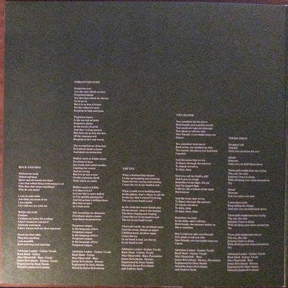 Big Thief : Two Hands (LP, Album, Club, Ltd, Num, Bro)