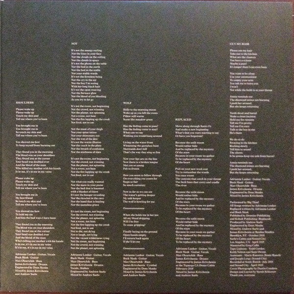 Big Thief : Two Hands (LP, Album, Club, Ltd, Num, Bro)