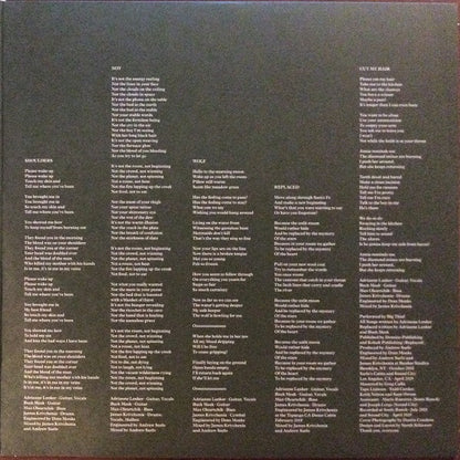 Big Thief : Two Hands (LP, Album, Club, Ltd, Num, Bro)