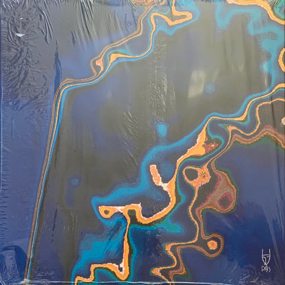 Hiro Kone : A Fossil Begins To Bray (LP, Album, Ltd, Pin)