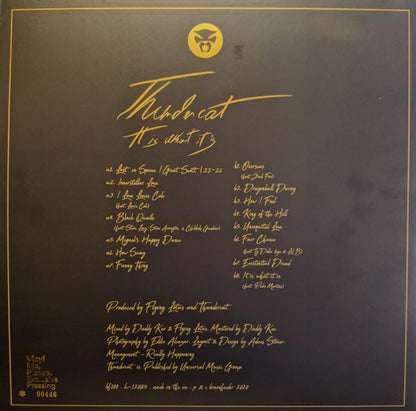 Thundercat : It Is What It Is (LP, Album, Club, Ltd, Num, Blu)