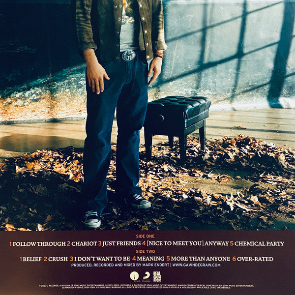 Gavin DeGraw : Chariot (LP, Album, Ltd, Gre)