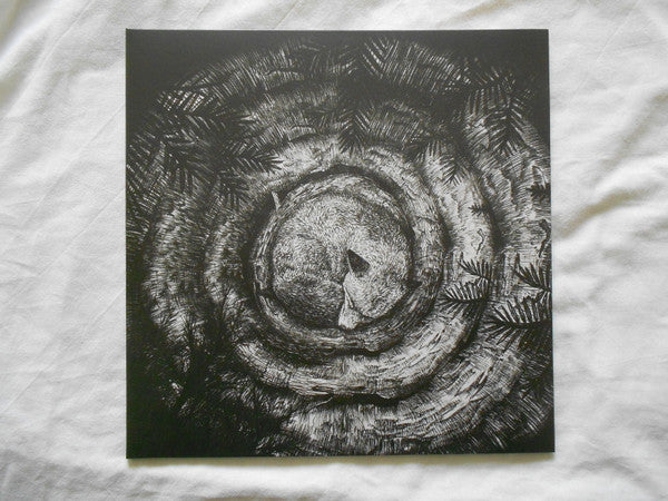 Forhist : Forhist (LP, Album, Ltd, Whi)