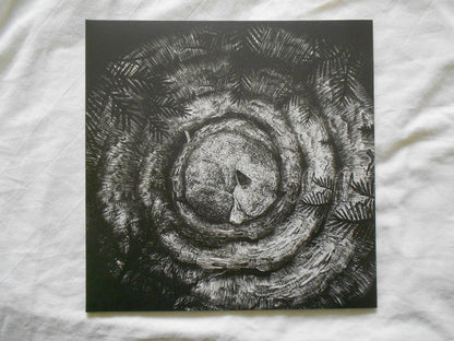 Forhist : Forhist (LP, Album, Ltd, Whi)