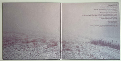 Slowdive : Slowdive (LP, Album, Ltd, RE, Oli)