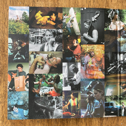 Big Thief : Dragon New Warm Mountain I Believe In You (2xLP, Album, Club, Ltd, Num, Gre)