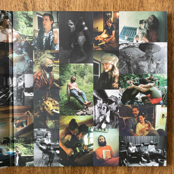 Big Thief : Dragon New Warm Mountain I Believe In You (2xLP, Album, Club, Ltd, Num, Gre)