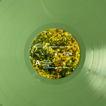 Big Thief : Dragon New Warm Mountain I Believe In You (2xLP, Album, Club, Ltd, Num, Gre)