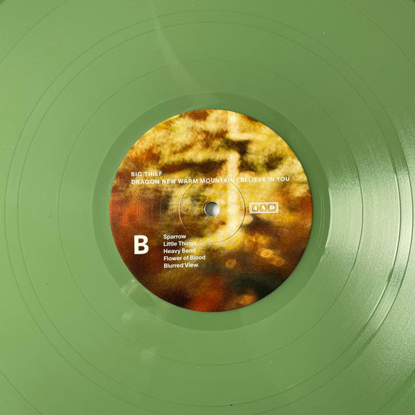 Big Thief : Dragon New Warm Mountain I Believe In You (2xLP, Album, Club, Ltd, Num, Gre)