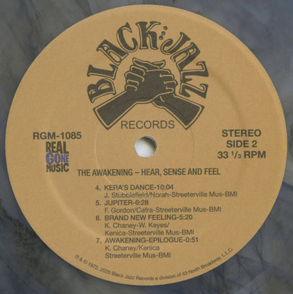 The Awakening (4) : Hear, Sense And Feel (LP, Album, Club, Num, RE, RM)