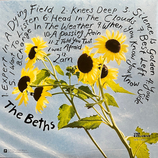 The Beths : Expert In A Dying Field (LP, Album, Club, Hot)