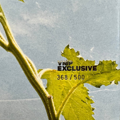 The Beths : Expert In A Dying Field (LP, Album, Club, Hot)