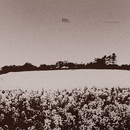Jesu : Heart Ache & Dethroned (2xLP, Pin)