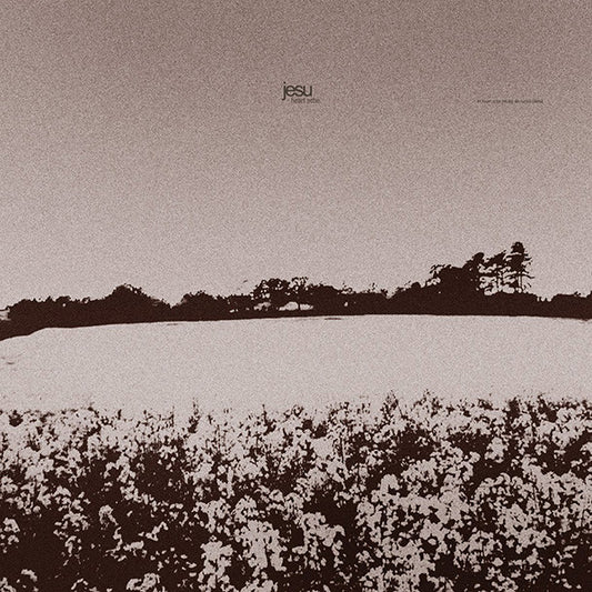 Jesu : Heart Ache & Dethroned (2xLP, Pin)