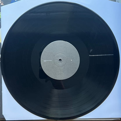 JPEGMAFIA X Danny Brown (2) : Scaring The Hoes (LP, Album, Alt)