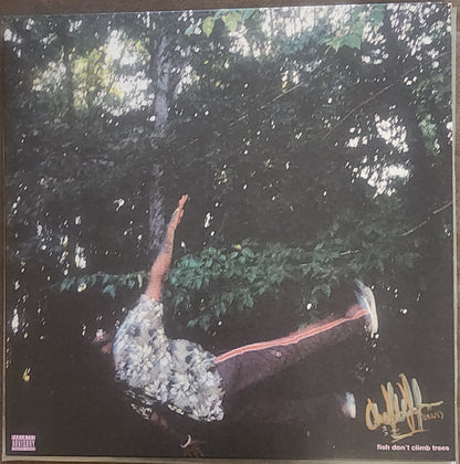 Chester Watson (2) : fish don't climb trees (LP, Album, Pin)