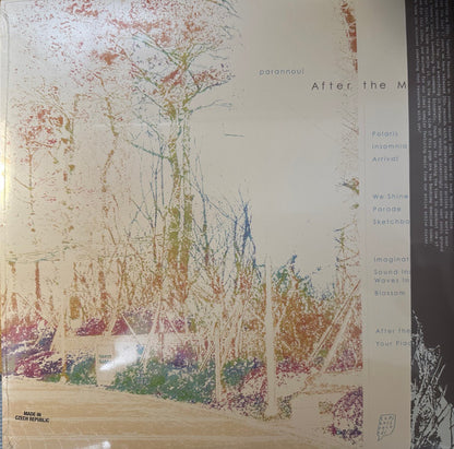 Parannoul* : After The Magic (2xLP, Album, Ltd, Pol)