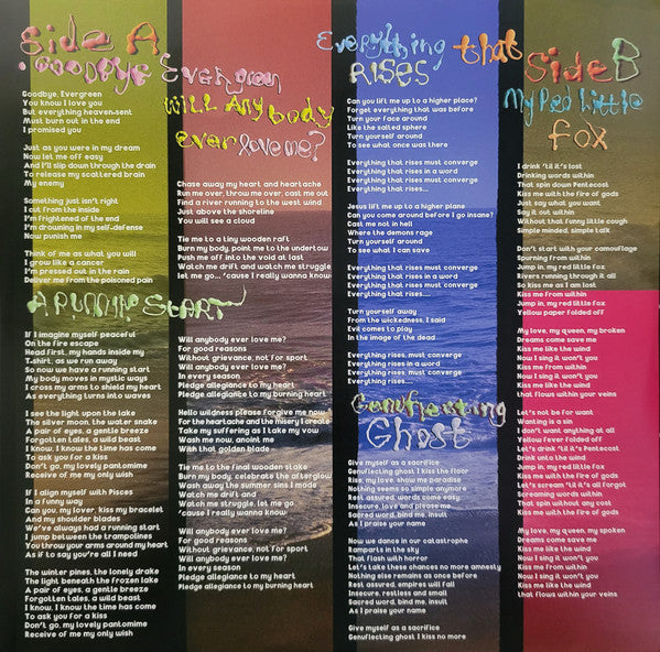 Sufjan Stevens : Javelin (LP, Album, Ltd, Sem)