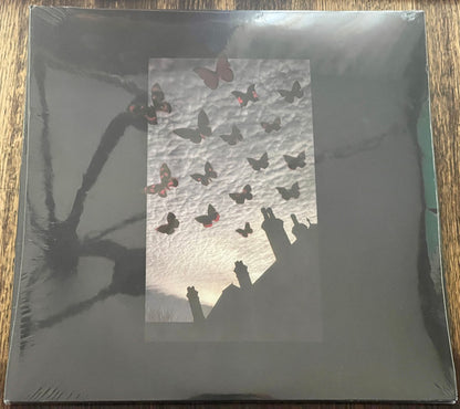 Moneen : Are We Really Happy With Who We Are Right Now? (2xLP, Album, Ltd, Bla)