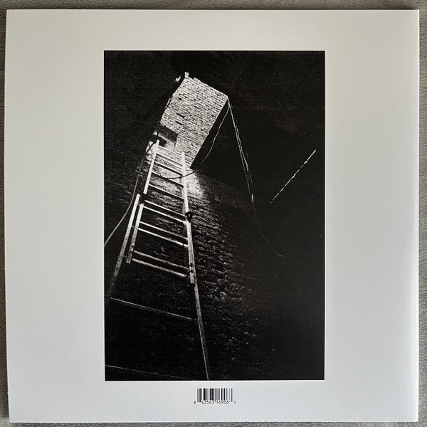 Armand Hammer : Shrines (2xLP, Album, Dlx, Ltd, RE, Ora)