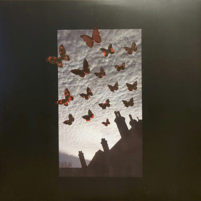 Moneen : Are We Really Happy With Who We Are Right Now? (2xLP, Album, RSD, Ltd, RE, Cle)