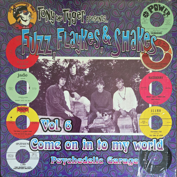 Various : Fuzz, Flaykes, & Shakes Vol. 6: Come On In To My World (LP, Comp)