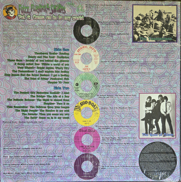Various : Fuzz, Flaykes, & Shakes Vol. 6: Come On In To My World (LP, Comp)