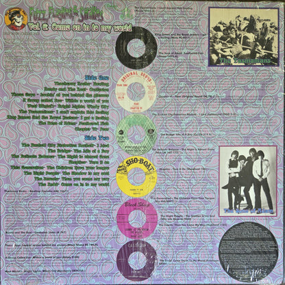 Various : Fuzz, Flaykes, & Shakes Vol. 6: Come On In To My World (LP, Comp)