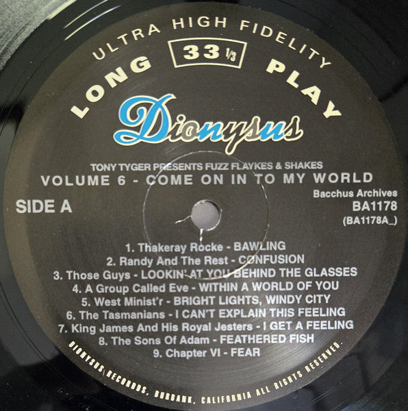 Various : Fuzz, Flaykes, & Shakes Vol. 6: Come On In To My World (LP, Comp)