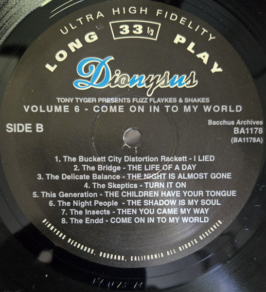 Various : Fuzz, Flaykes, & Shakes Vol. 6: Come On In To My World (LP, Comp)
