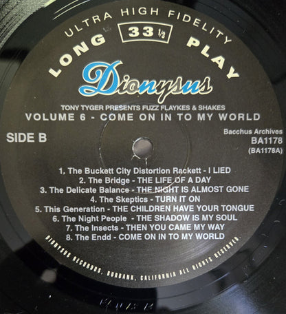 Various : Fuzz, Flaykes, & Shakes Vol. 6: Come On In To My World (LP, Comp)