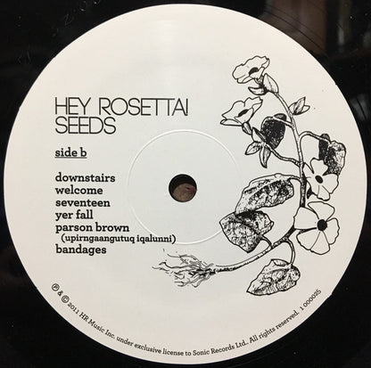 Hey Rosetta! : Seeds (LP, Album)