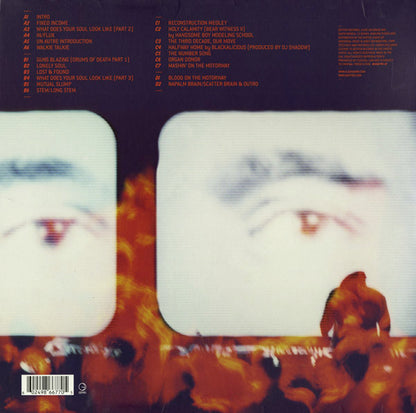 DJ Shadow : In Tune And On Time Live! (2xLP, Mixed)