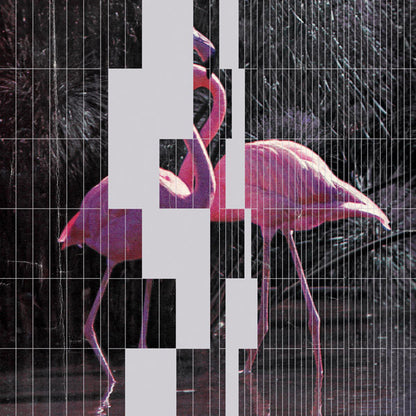 NHK'Koyxeи : Dance Classics Vol.I (LP)