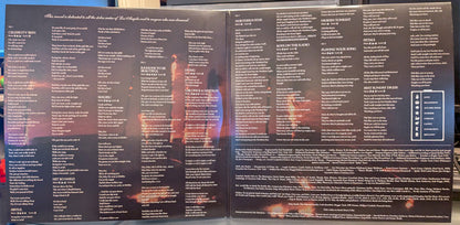 Hole (2) : Celebrity Skin (2xLP, Album, Club, Dlx, Ltd, Num, RE, 180)