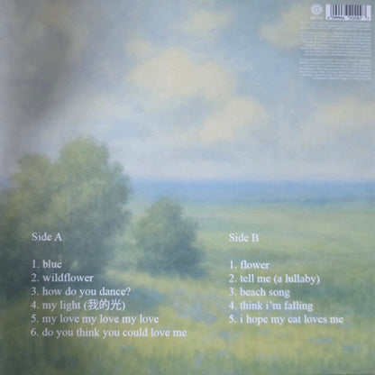 Yung Kai : Stay With The Ocean, I'll Find You (LP, UO )
