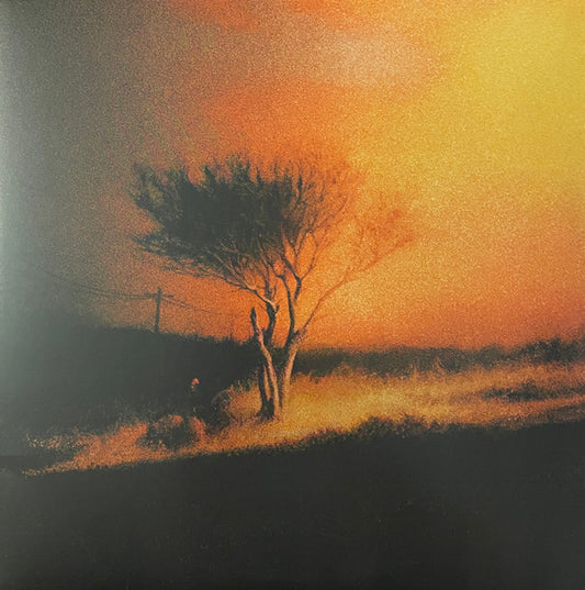 Joji : Piss In The Wind (LP, Album, Ltd, Ora)