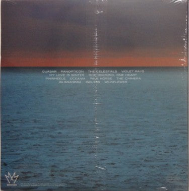 The Smashing Pumpkins : Oceania (2xLP, Album)