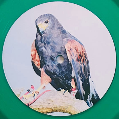 Avalon Emerson & The Charm* : Written Into Changes (LP, Album, Club, Ltd, Tra)