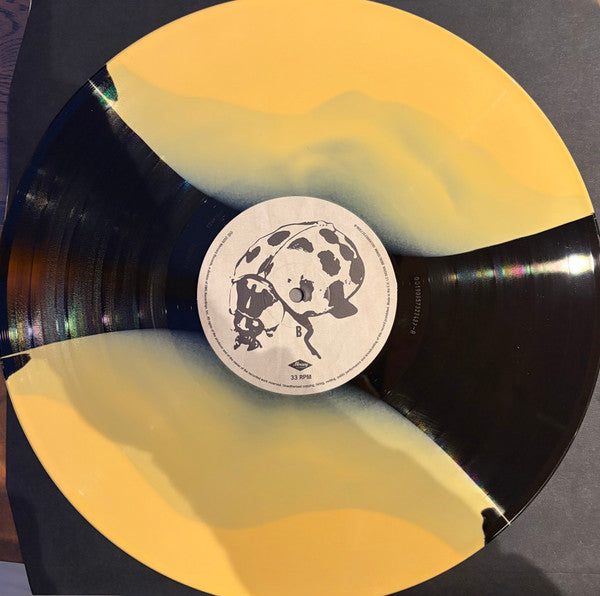 Noah Kahan : The Great Divide (2xLP, Album, Ltd, Hea)