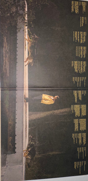 Noah Kahan : The Great Divide (2xLP, Album, Ltd, Cig)