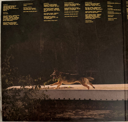 Noah Kahan : The Great Divide (2xLP, Album, Ltd, Ame)